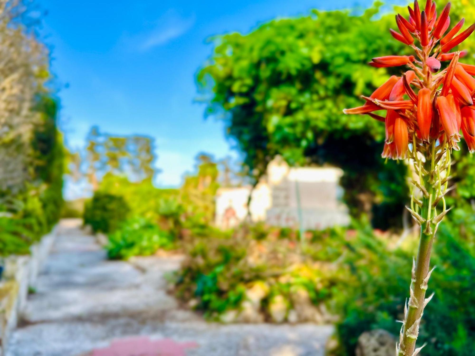 Villa Primavera Favignana Zewnętrze zdjęcie